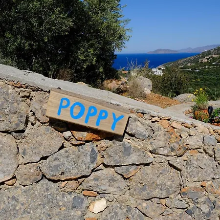 Poppy * Vathy (Crete)